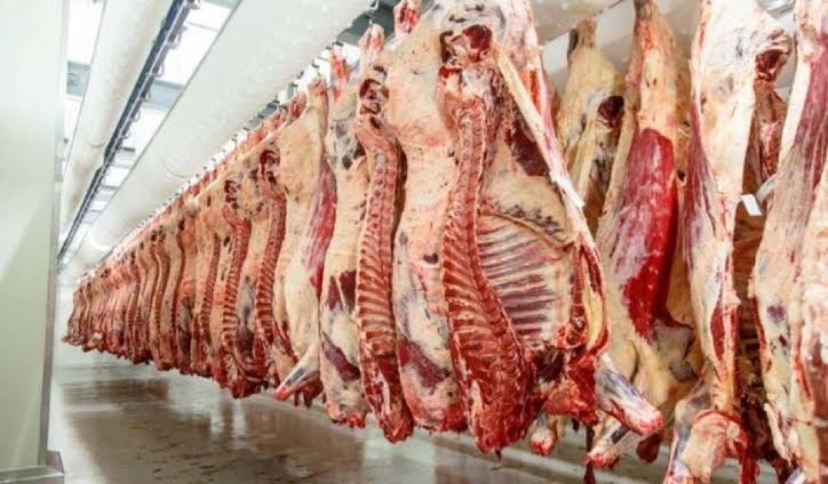 Besici şokta! Dana kesim fiyatı bu yıl ilk kez 570 lirayı gördü