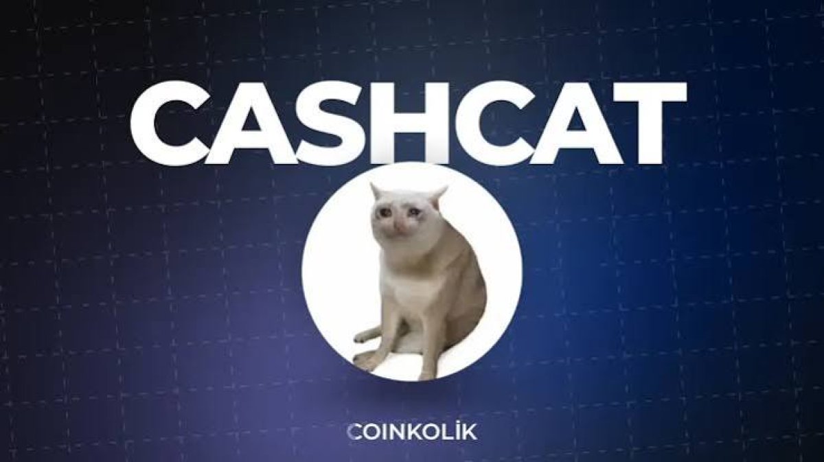 CASHCAT Binance Wallet Eklenmesiyle Rallisini Uzattı