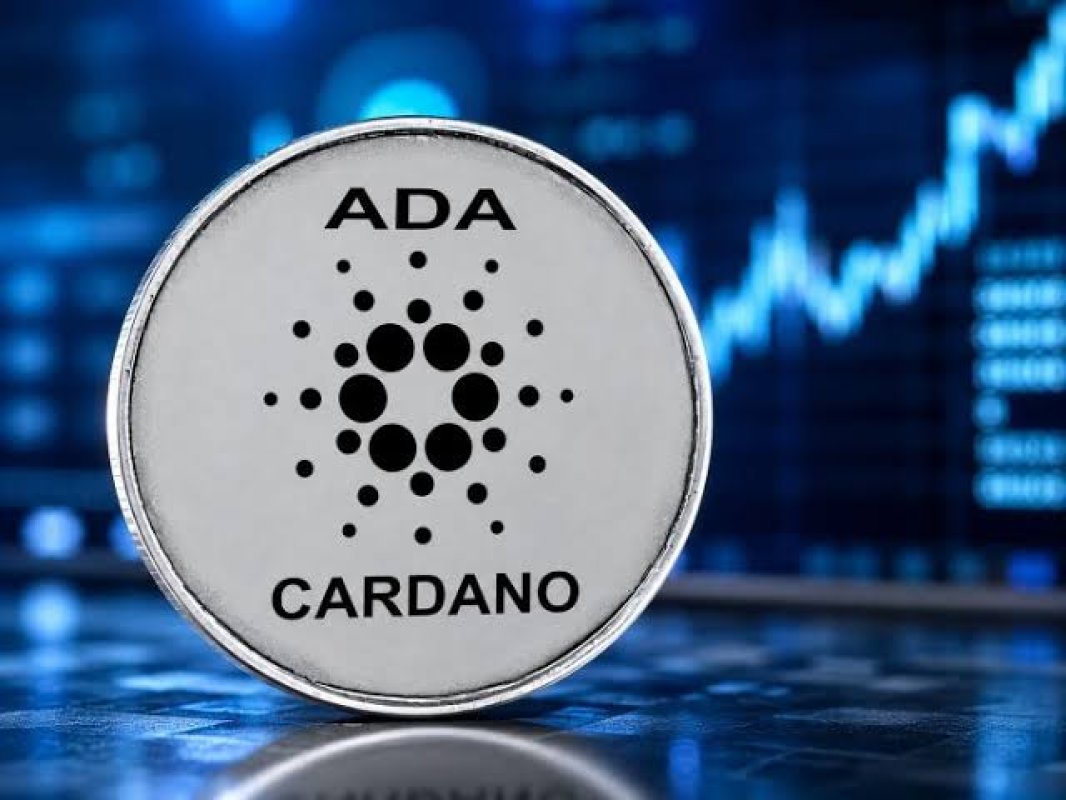 Cardano ADA, Balina Birikimi ve Protokol Yükseltmeleriyle %12 Kazandı