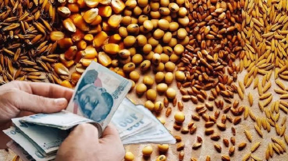 EKMEKLİK BUĞDAY FİYATLARI ARTTI!