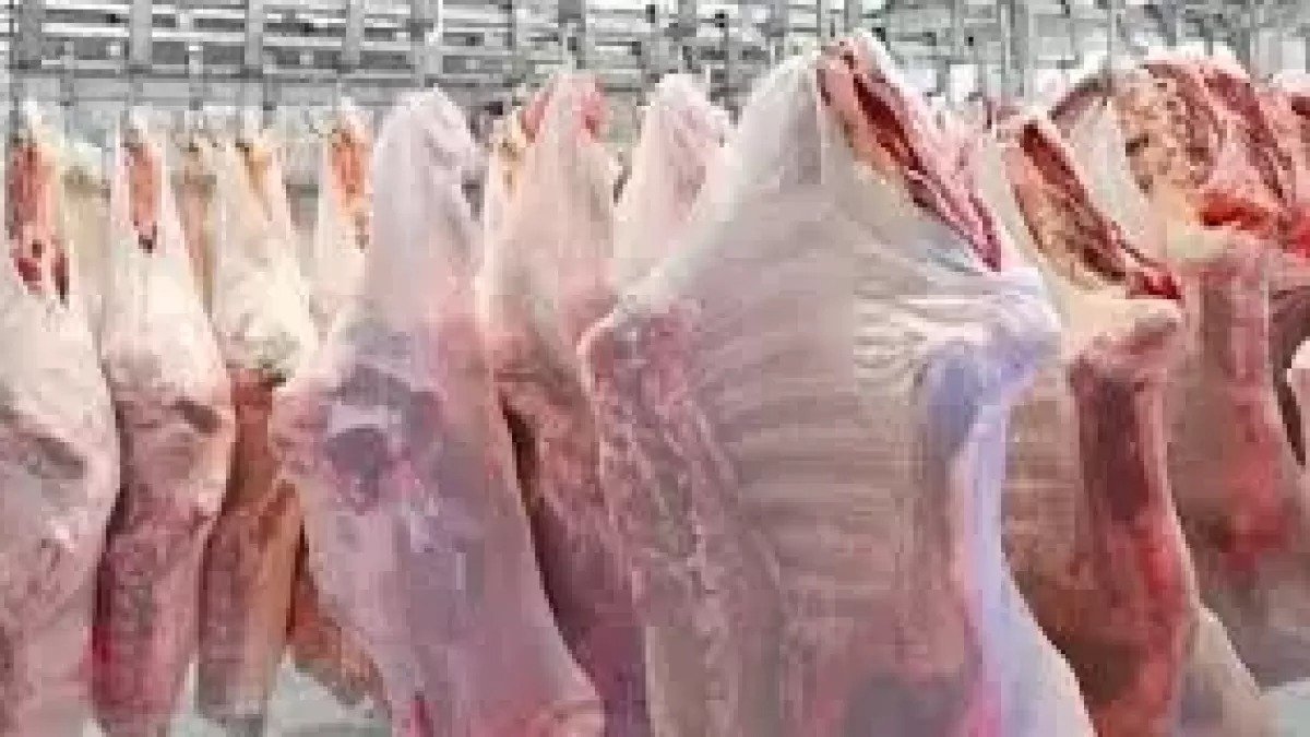 ESK’nın İthal Et Politikası ve Piyasa Üzerindeki Etkileri