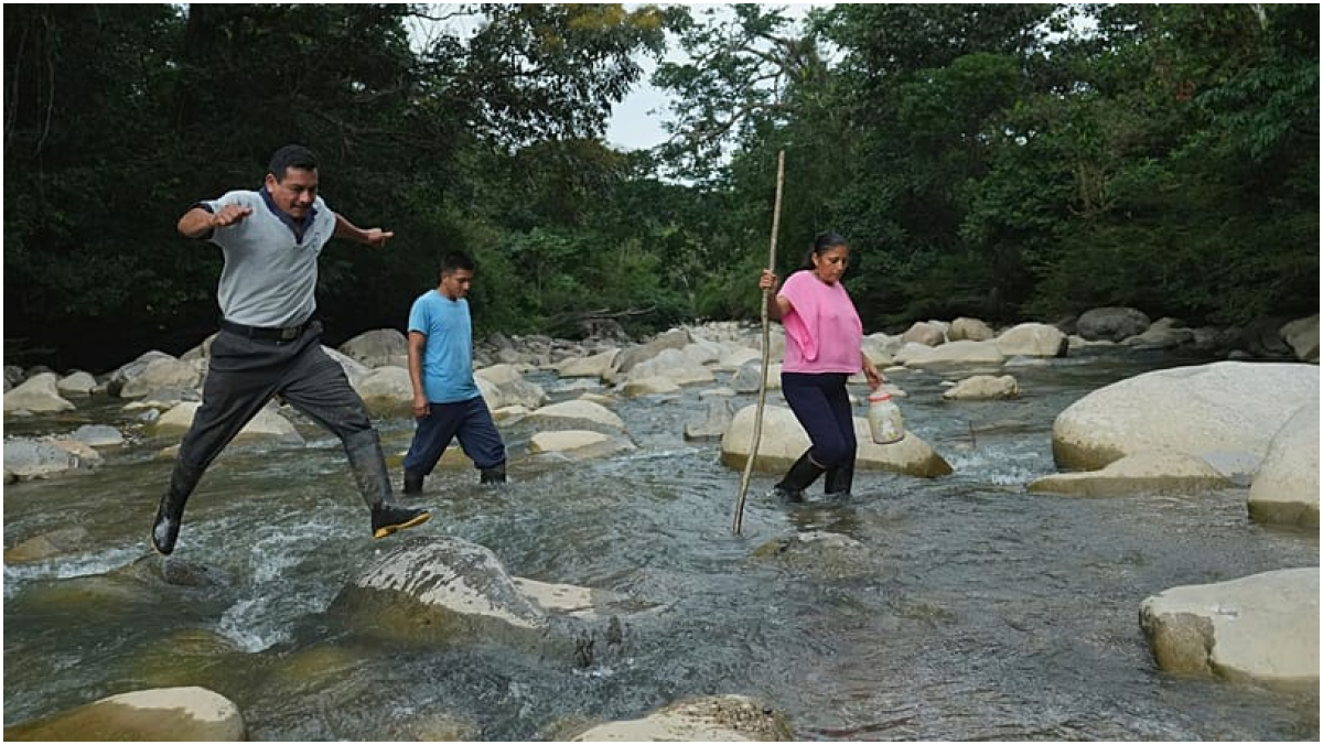 Ekvador Amazon Ormanlarında Tohum Bankası: Ramón Pucha ve Ailesi