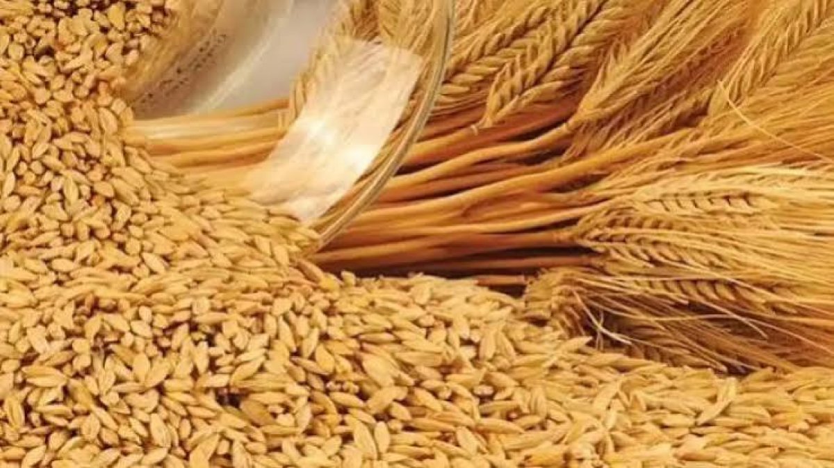 Konya Ticaret Borsası'nda Hububat Fiyatları