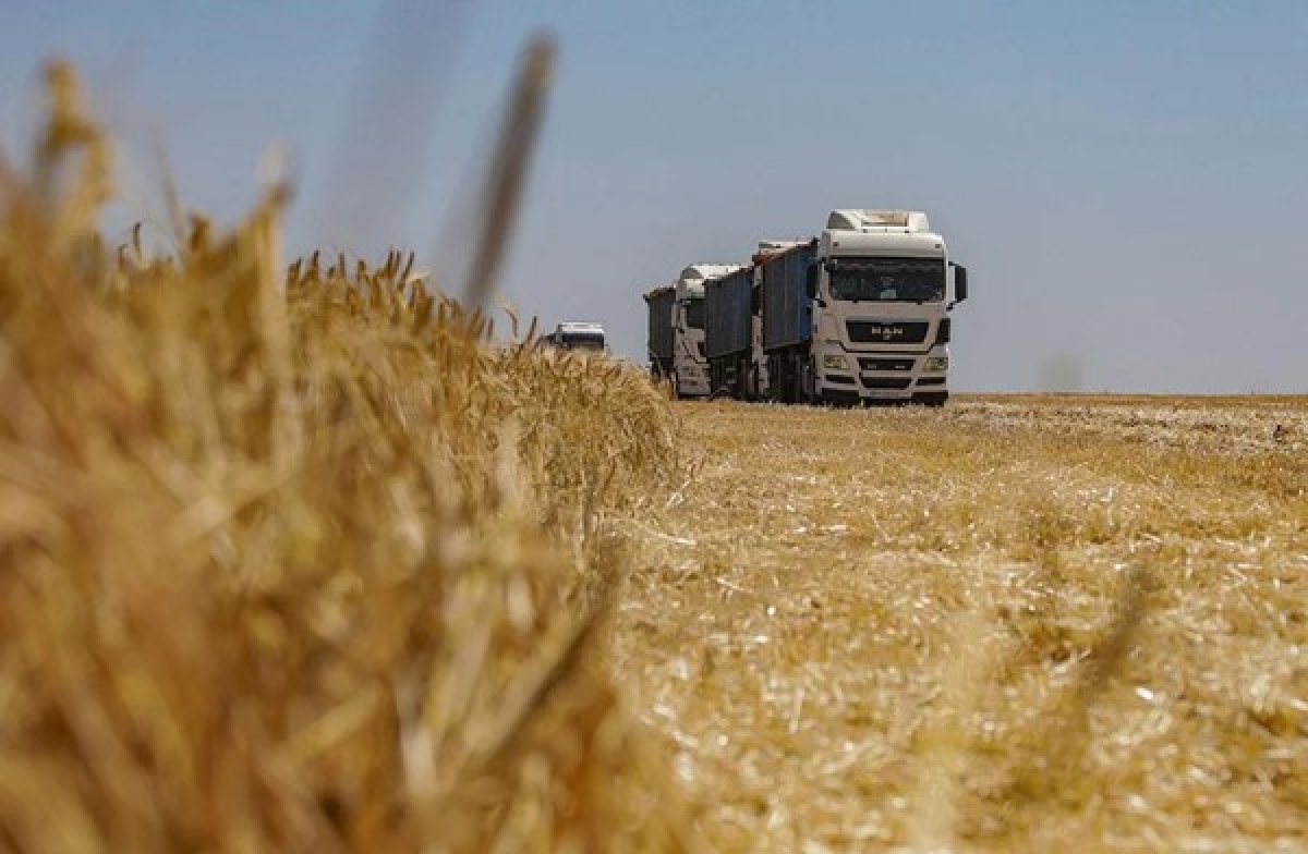 Rusya'nın Tarım Başarısı: Lojistik Krizine Rağmen %15 Büyüme