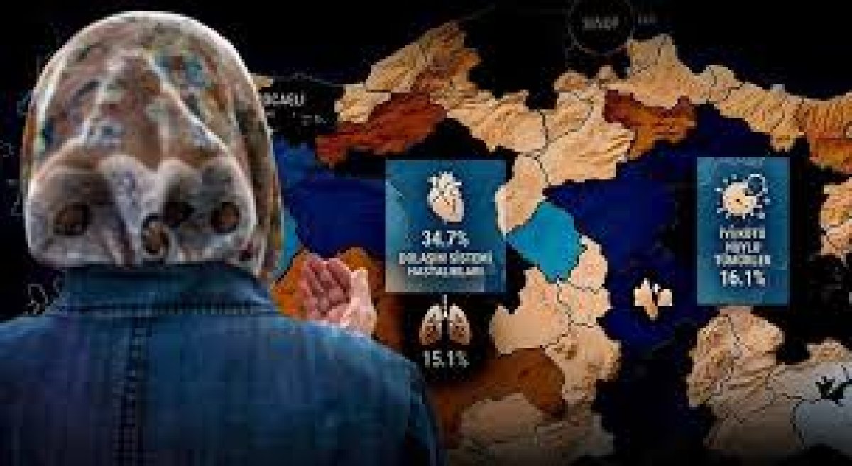TÜİK 2025 Ölüm ve Ölüm Nedeni İstatistikleri