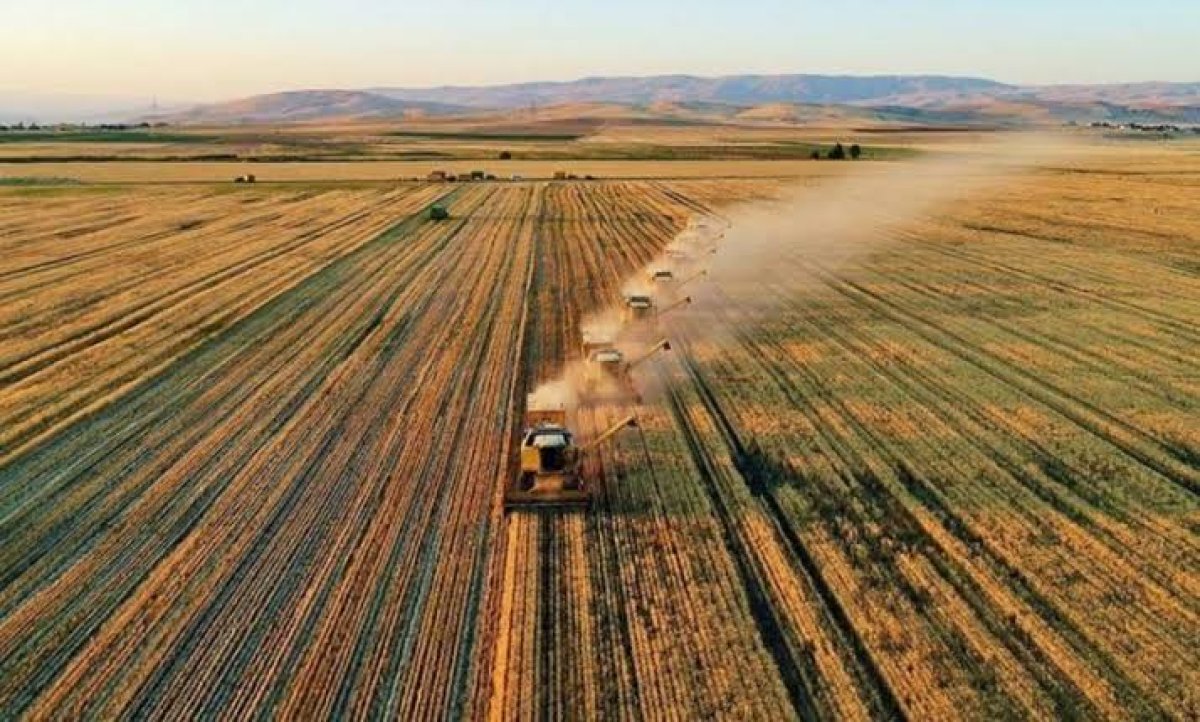 Tarım-ÜFE'de 2026 yılı Haziran ayında bir önceki aya göre %9,02 azalış, gerçekleşti.