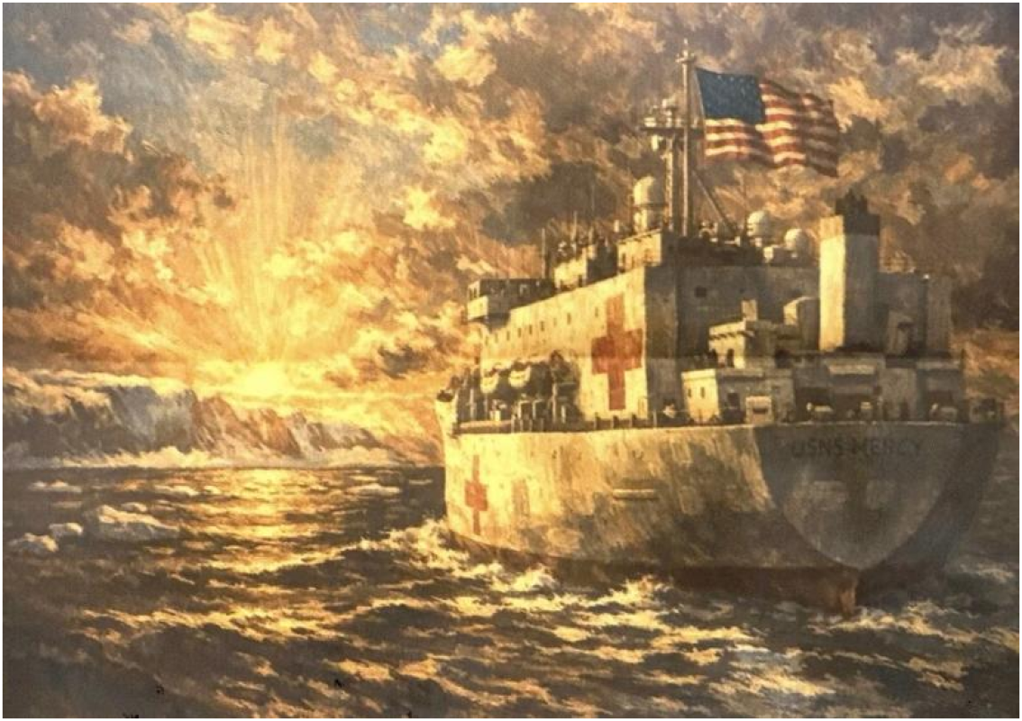 Trump'ın Grönland'a Hastane Gemisi Gönderme Duyurusu