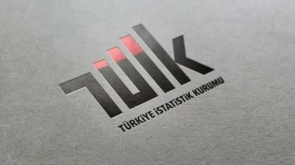 Türkiye Ekonomisi 2025: TÜİK Kurumsal Sektör Hesapları