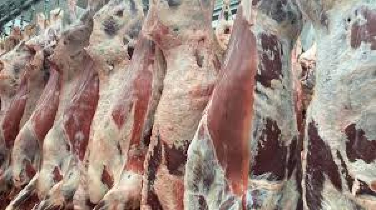 TİGEM Et İhalesi ve ESK Bilmece