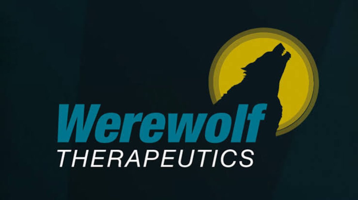 WEREWOLF THERAPEUTICS AMBROS İLE BİRLEŞME ANLAŞMASINI AÇIKLADI