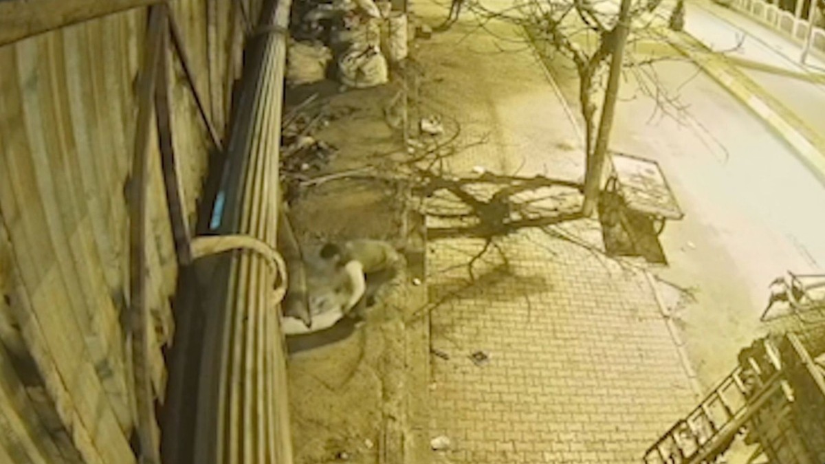 Adıyaman’da işyerlerinden bakır ve hurda çalan 4 şüpheli tutuklandı  - Videolu Haber