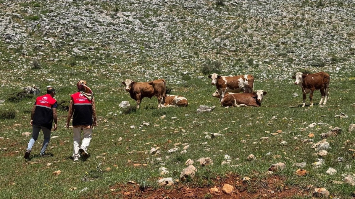 Adıyaman’da meralar için teknik inceleme