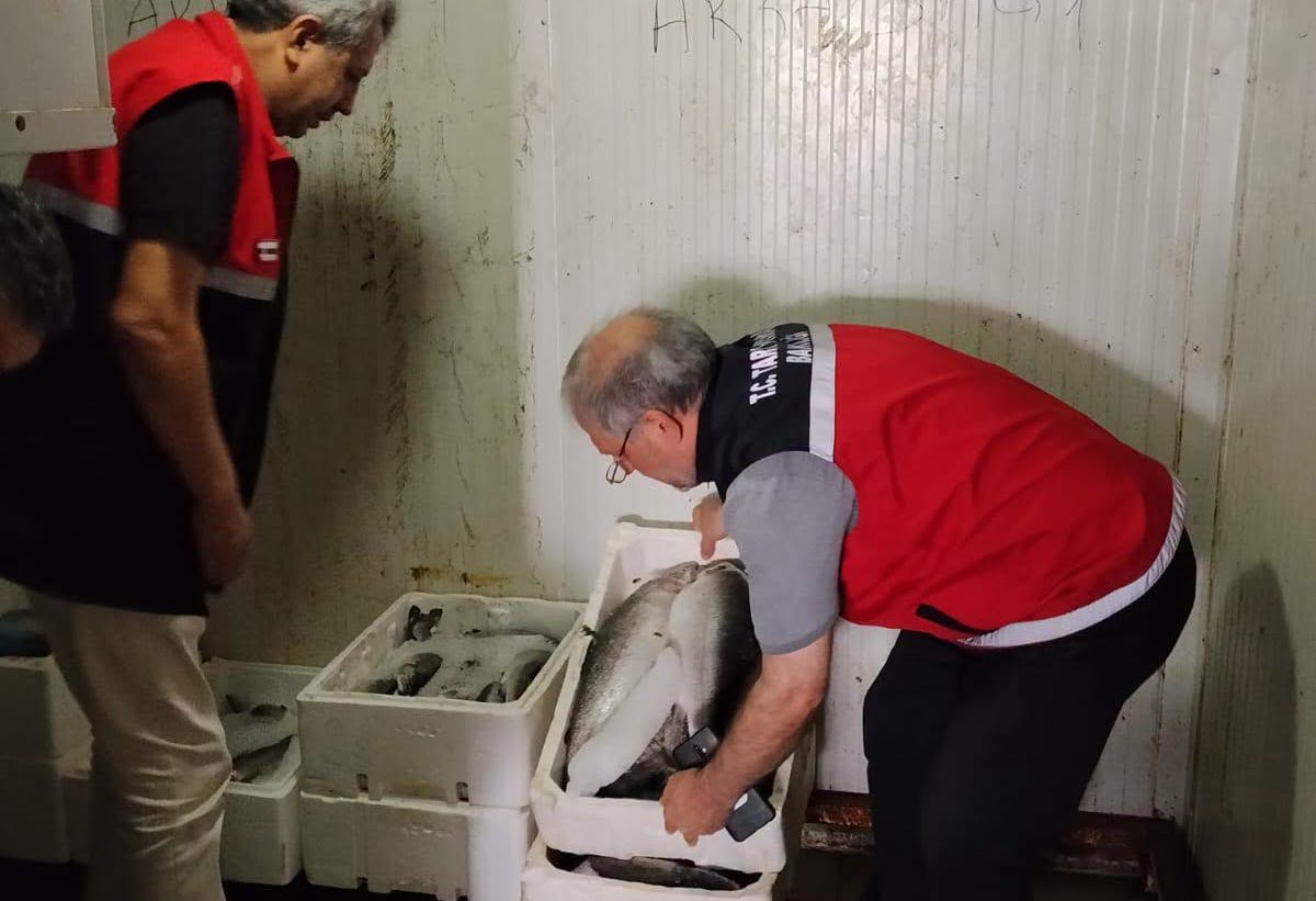 Adıyaman'da su ürünleri denetimleri başladı