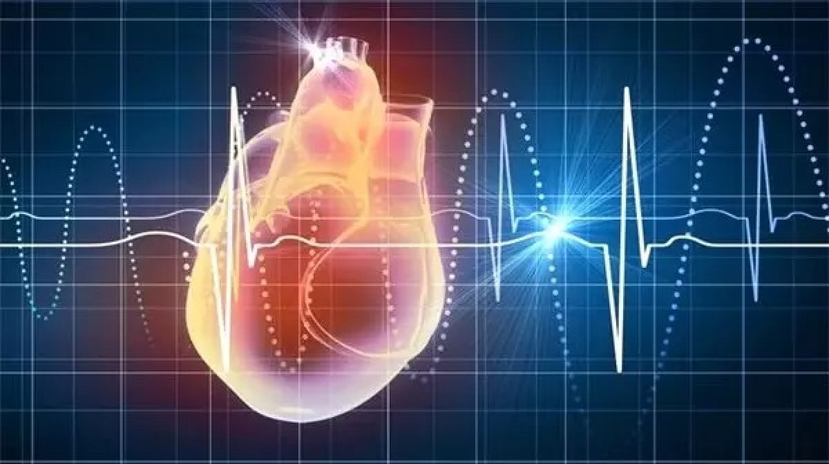 Çinli Araştırmacılardan Kendi Enerjisini Üreten Mikro Kalp Pili