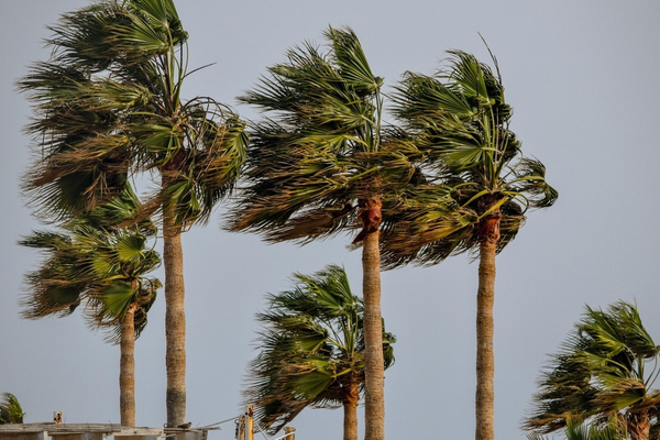 MGM: Güneybatıda kuvvetli rüzgar ve fırtına bekleniyor