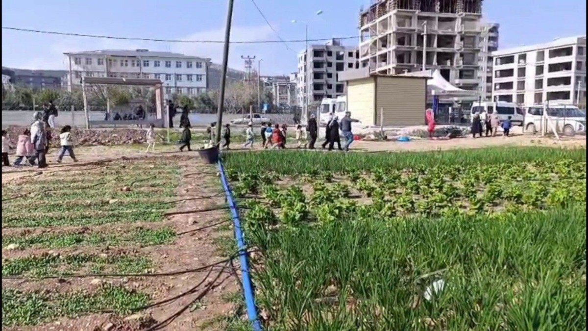 Öğrenciler, Adıyaman Belediyesi’nin sebze bahçesinde incelemelerde bulundu  - Videolu Haber