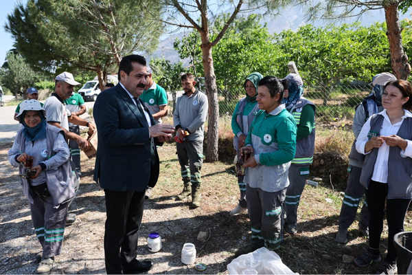Pamukkale’de yabani ot temizliği çalışmaları sürüyor