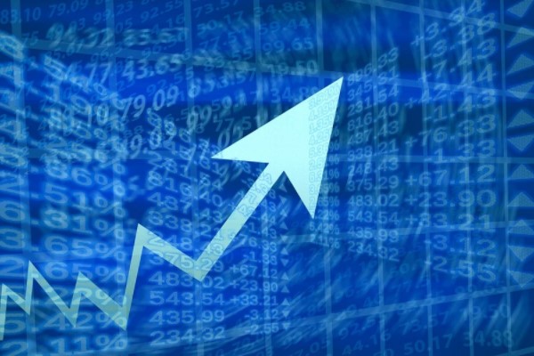 Yayla Agro'nun 2025 performansı